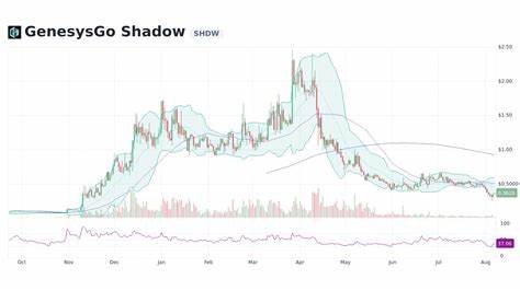 Shadow Token Price: SHDW Live Price Chart, Market Cap & News Today - CoinGecko Buzz