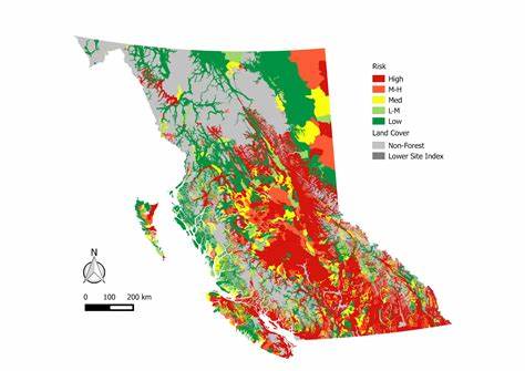 Are BC’s Forests Running Out of Trees?