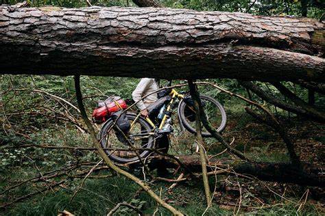 When We Get Komooted