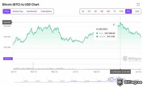 Bitcoin Tops $67,000, Highest Price in Over a Month - Decrypt