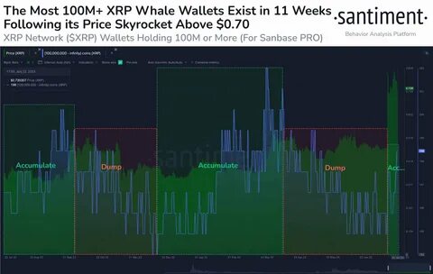 Major XRP Whale Moves 95,678,794 XRP Following 17% Price Decline - The Crypto Basic