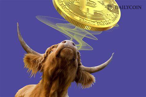 Opinion: Bitcoin (BTC) Is Poised for Long Term Bull Run - DailyCoin