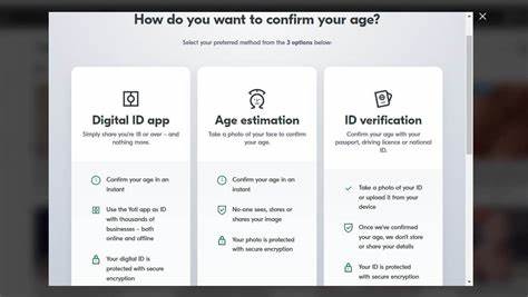 Age verification tools on adult websites bypassed in seconds