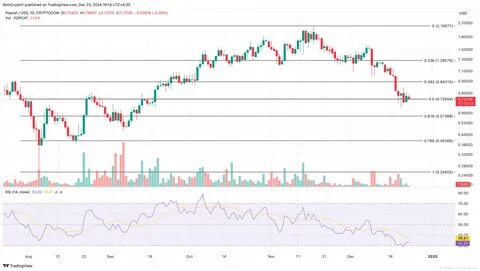 Top 5 Performing Coins of 2024— See the Cryptos That Made the Cut - Binance