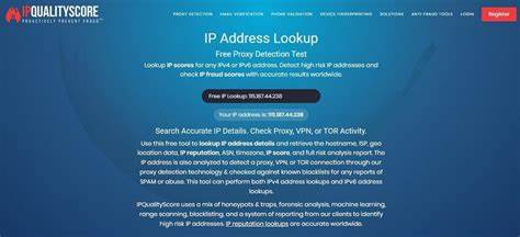 IP-Check.Online – Professional IP Quality Detection Platform