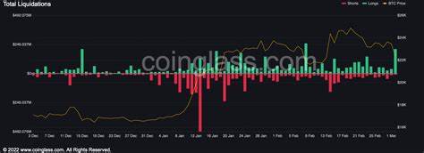 Bitcoin’s Price Drop Triggers Massive Liquidations - Crypto Economy