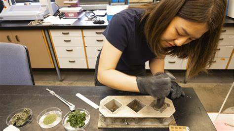 Seaweed powder lowers concrete's carbon emissions without sacrificing strength