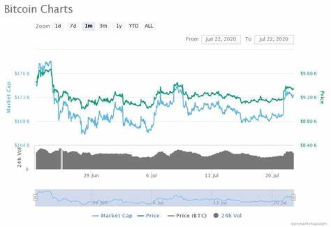 Bitcoin rallies to two-week high on Chinese demand hopes - Economies.com