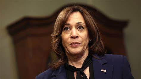 Kamala Harris targets Black men with new economic proposals ahead of election