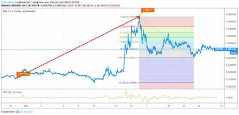 Historical Analysis Suggests XRP May Have Reached Generational Bottom Amid Recent Crash - The Crypto Basic