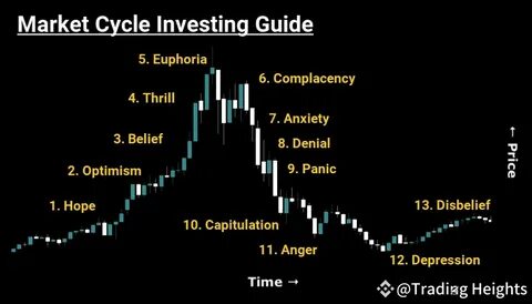 Learn How to Take Advantage of Each Phase in the Crypto Market Cycle
