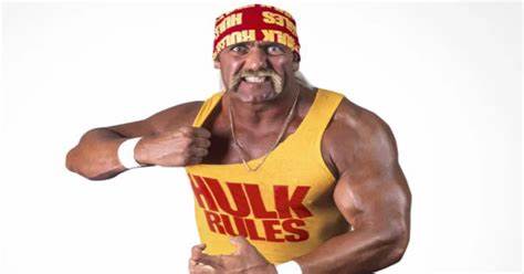 Wrestling legend Hulk Hogan dies at 71