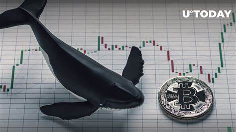 As Bitcoin Whales Shift Focus, Is Rollblock Positioned to Outperform BNB and Dogecoin for the Next 100x Altcoin? - Crypto News Flash