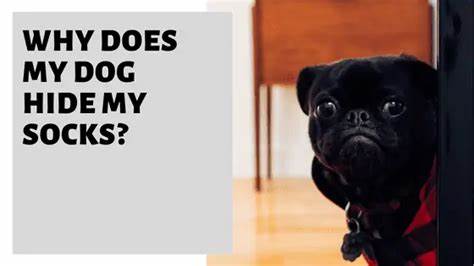 Why Do We Still Hide Our Socks?