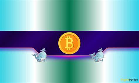 Bitcoin Whales Scoop 248K BTC This Month as Bulls Eye $200K