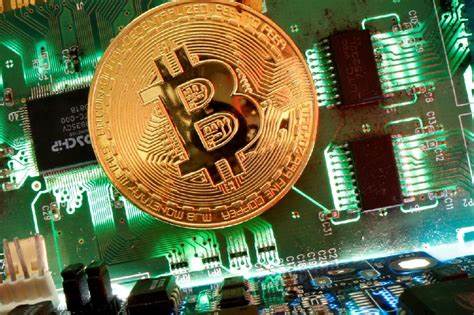 US Treasury chief says plan to be put in place on acquiring crypto - NewsBreak
