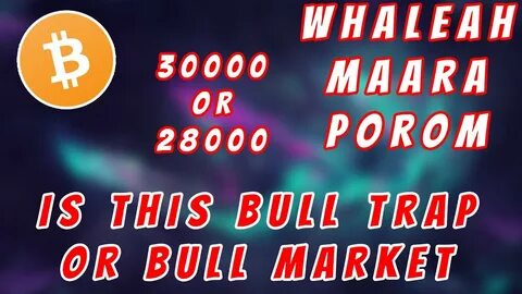 Alt Season May Not Happen; Long-Term Bitcoin Bullishness - Seeking Alpha