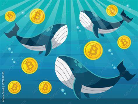 Whale Watch: Big Investors Dive into XRP, LTC, and Toncoin