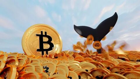 Bitcoin: Die Wale kaufen ein?