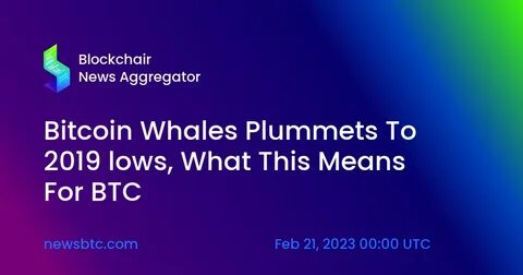 Bitcoin Whale Nets $85.7M Profit—Will BTC Skyrocket or Crash Next? - Coinfomania
