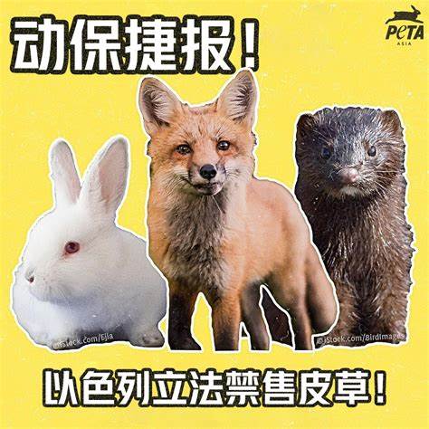 「亚洲善待动物组织」是什么组织？关于其杀戮动物和经费欺骗的说法是否属实？ - 知乎