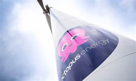 Ban Octopus from taking on new customers, says British Gas