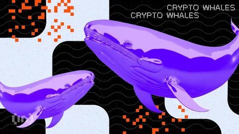 Best Altcoins Growing Quickly in Popularity Amongst Crypto Whales - Techpoint Africa