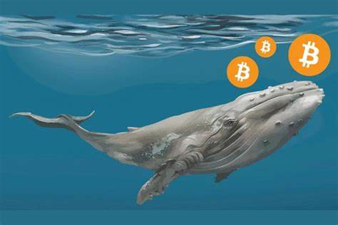 Bitcoin Whale Shifts Strategy, Banks on Ethereum and Rising Star GoodEgg for Profitable Bull Run