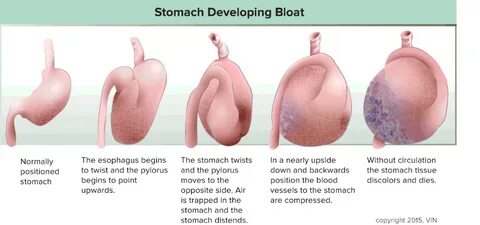 Solving State Bloat - The Block