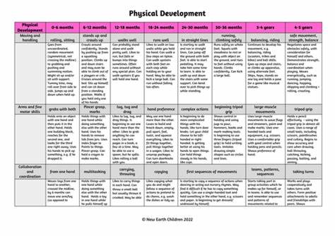 Your Child's Development (Birth to 5 Years Old)