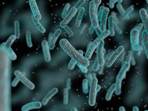 Bacterial memory could be the missing key to beating life threatening pathogens