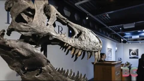 T. rex skeleton sells for more than $6m - The Island.lk