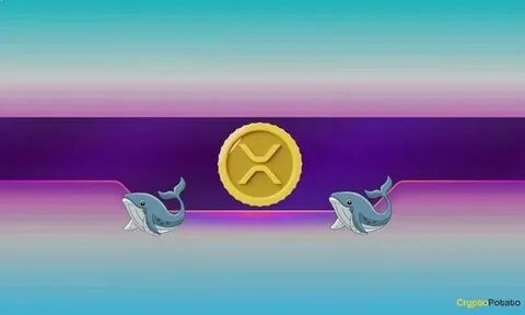 Ripple, Dogecoin Whales Bought the Dip as XRP, DOGE Prices Soar - CryptoPotato