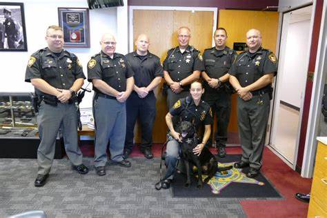 Stark County Sheriff's Office warning residents about new wave of crypto, Bitcoin scams - Canton Repository