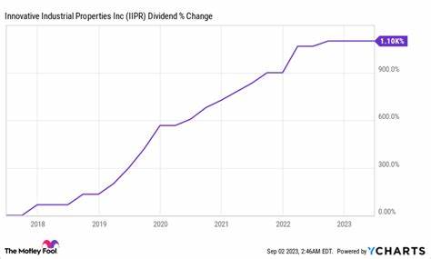 3 No-Brainer Dividend Stocks to Buy in September