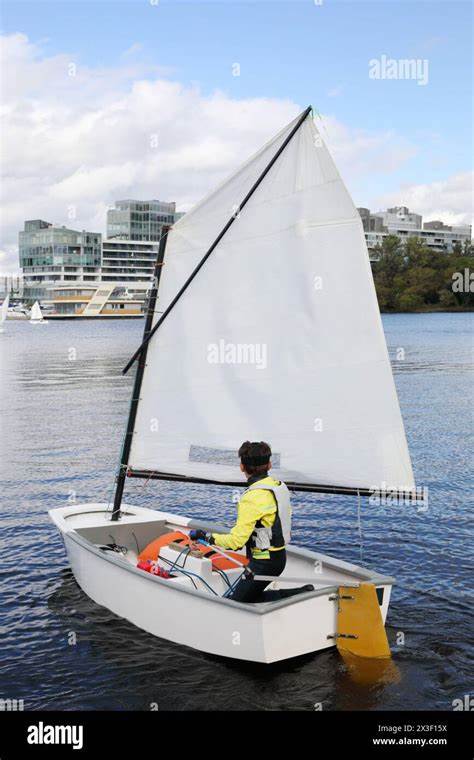 Stock Of The Day Sails Back Above Buy Point