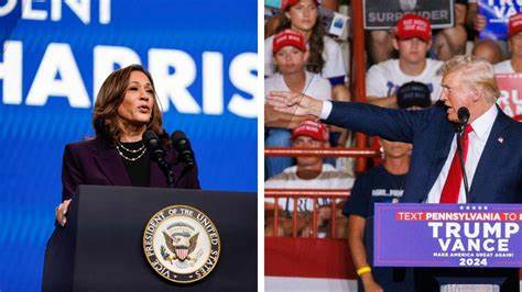 Gewagte These: Trump macht Harris verantwortlich für Börsen-Crash