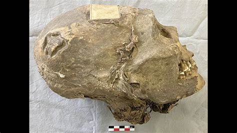 Provenance study shows 19th century looted 'Incan mummy' was Aymara man