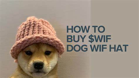 How to Buy dogwifhat (WIF): A Beginner’s Guide - 99Bitcoins