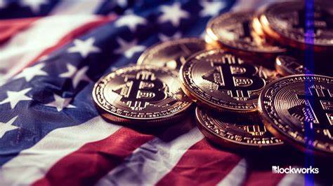 Why I’m a single-issue crypto voter - Blockworks