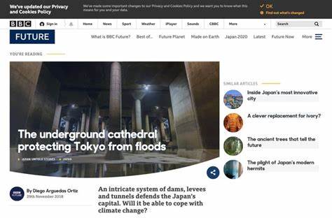 The underground cathedral protecting Tokyo from floods