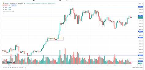 Cryptocurrency Price on May 20: Bitcoin trades near $67k; Avalanche, Shiba Inu fall over 4% - The Economic Times