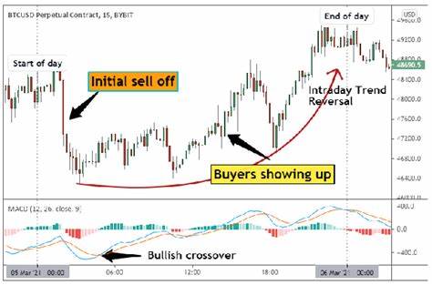 How to Spot Crypto Market Bottom Easily? - Bybit Learn