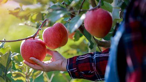 T&G Global mulls options with main investor eyeing sale