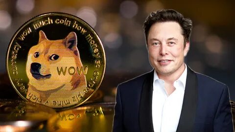 wNews: Why the World’s Richest Man Loves Dogecoin - Crypto Briefing