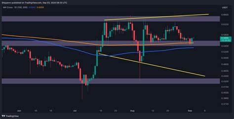 Ripple Price Analysis: Bullish Sentiment Reaffirmed, Can XRP Climb to $0.64? - CryptoPotato