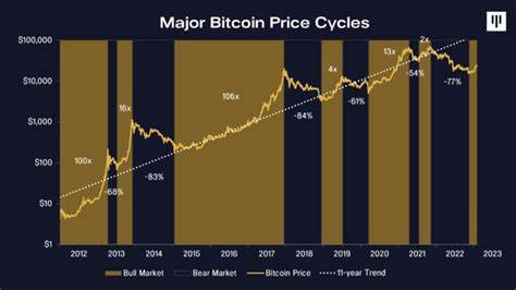 Bitcoin Tops $100,000 Again. Is the Leading Cryptocurrency Entering a New Bull Market Cycle?