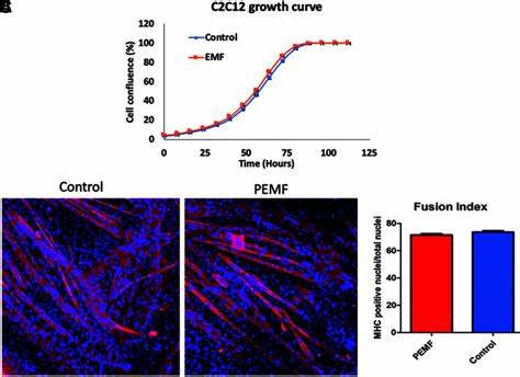 Pulsed Electromagnetic Fields Modulate Inflammation, Tissue Regeneration (2019)