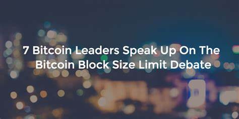 7 Bitcoin Leaders Speak Up On Bitcoin Block Size Debate - CoinGecko Buzz
