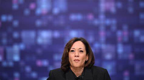 Kamala Harris' 'pragmatic' plan for the economy - MSN